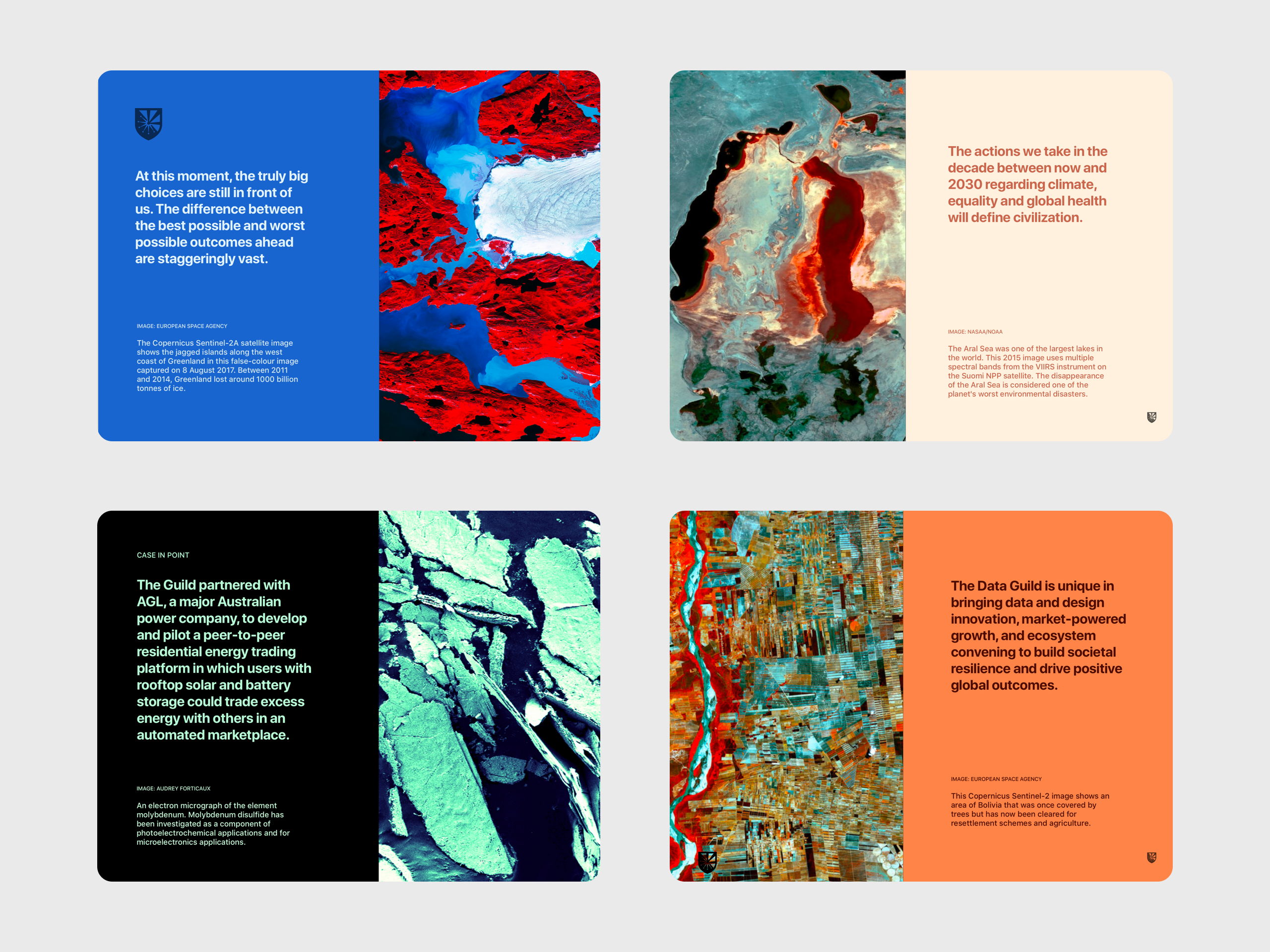 We worked to position the Guild in the context of major social and environmental change. These concepts were used as part of a fundraising initiative. My goal was to use color to capture energy of the Guild mission while grounding it in satellite and microscopic imagery.